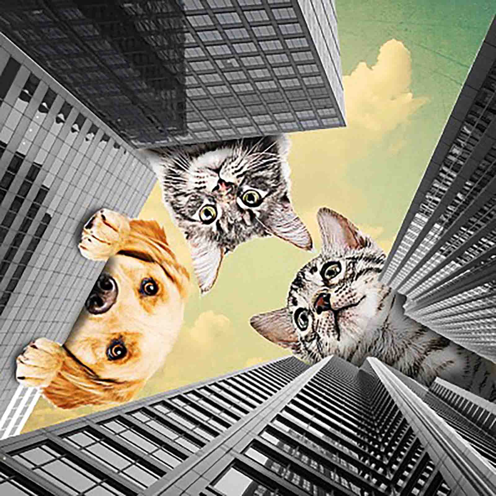 Vadim Chelnokov - Dramedy VOL 3