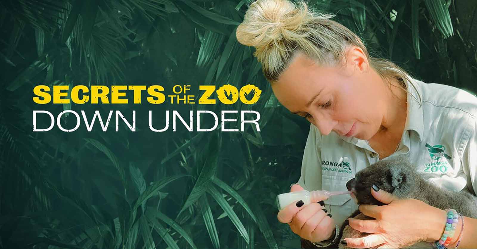 Nat Geo Wild - Secrets of the Zoo: Down Under